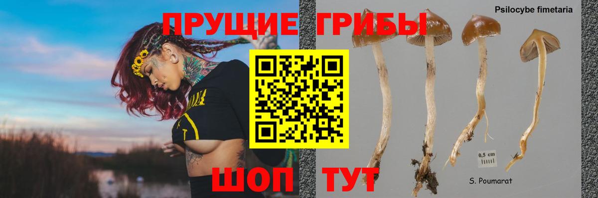 Галлюциногенные грибы Cubensis  Вход с VPN  Моршанск 