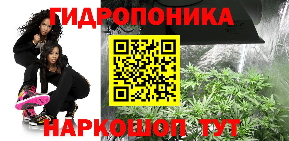 Канабис тримм  Бошки Шишки планчик  Моршанск  Бошки Шишки семена  Вход с VPN 